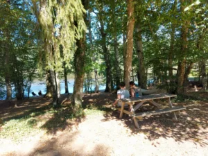Picknicktafel in een bos aan het water