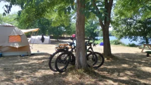 Twee fietsen tegen een boom met tenten op de achtergrond