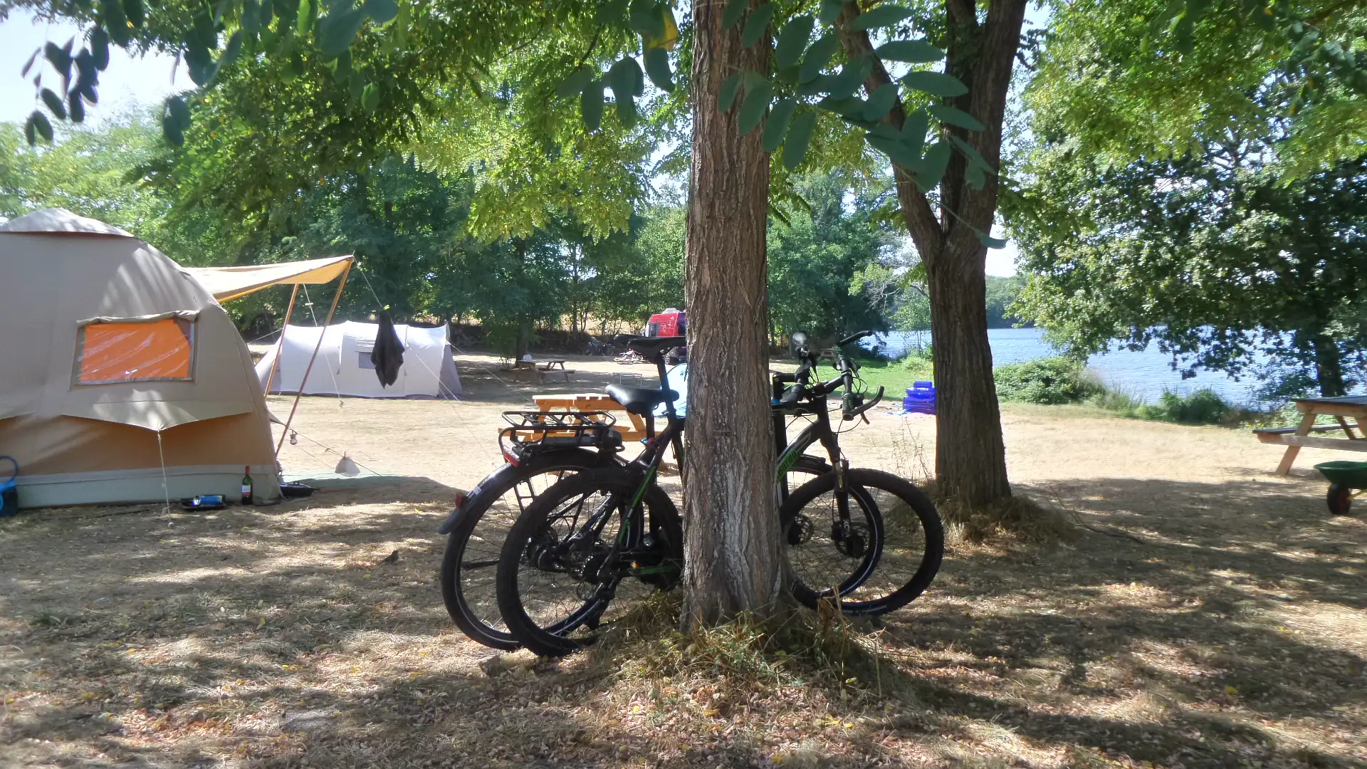 Twee fietsen tegen een boom met tenten op de achtergrond