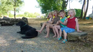 vier kinderen eten een ijsje, hond ligt erbij