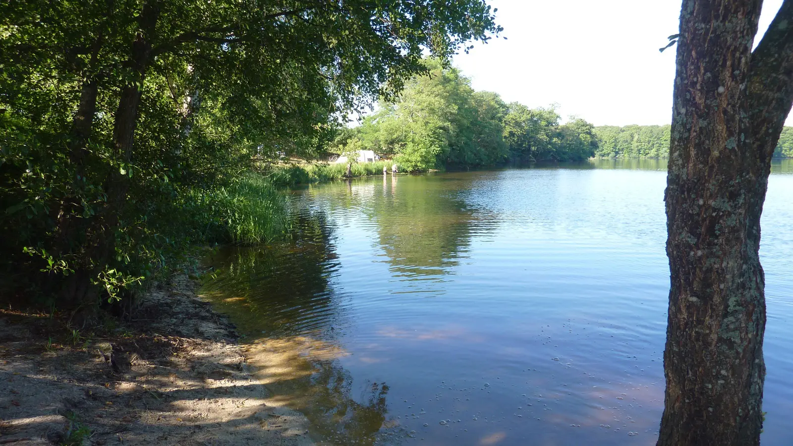 Het meer naast de camping
