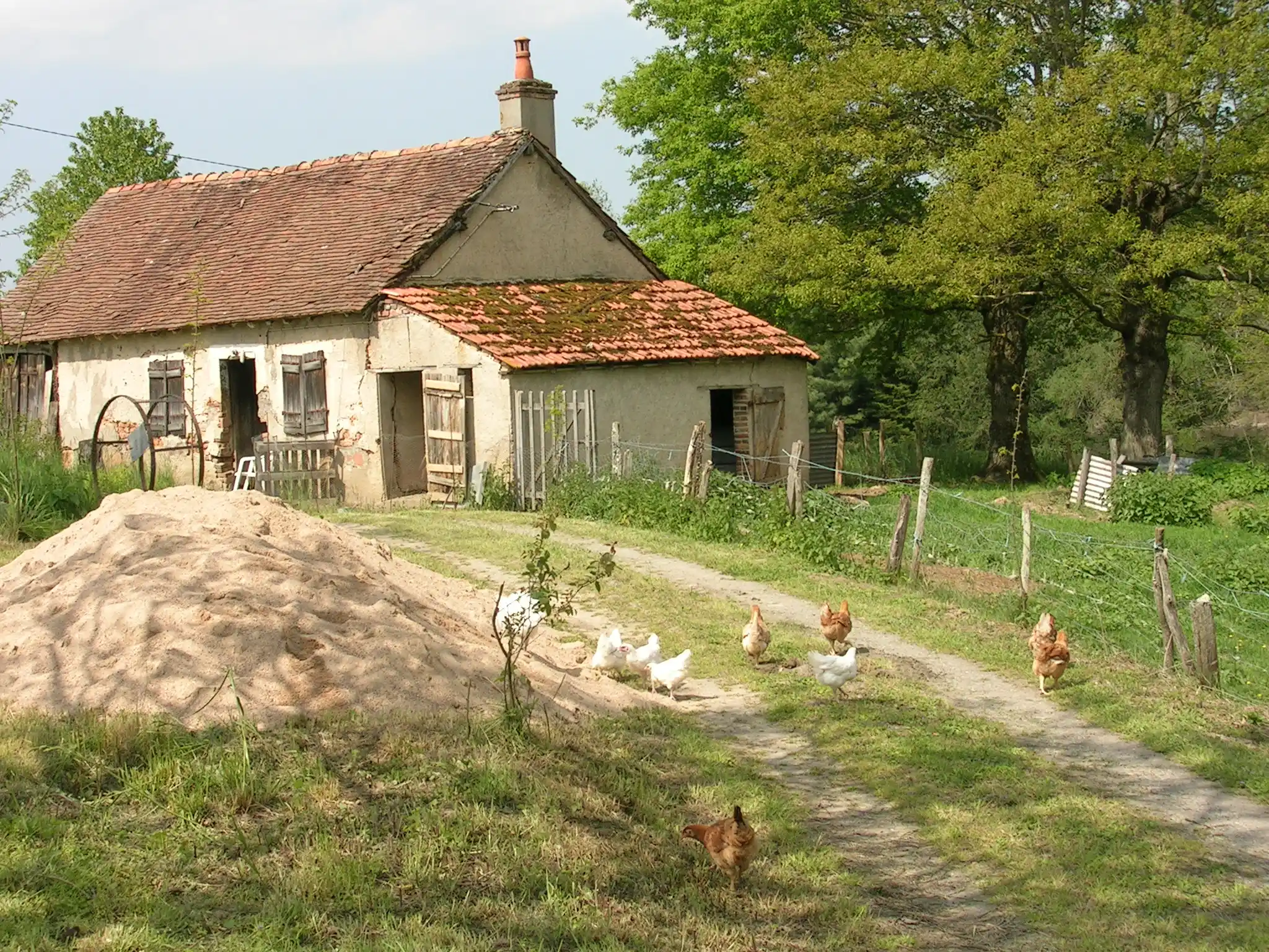 oude boerderij met loslopende kippen