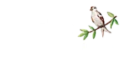 logo camping vue du lac